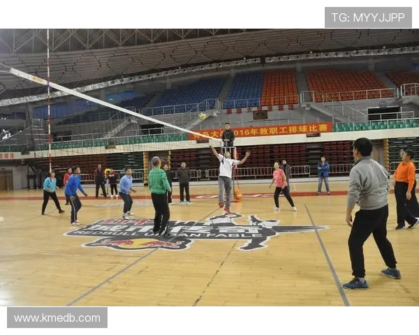 吴静独家分享排球心得与技巧助你提升技艺与比赛表现