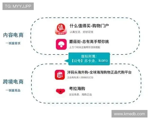 Elk射手全面解析深度剖析其特点与战术运用