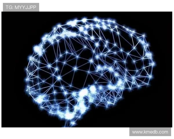 探索体育的无限可能:从竞技到健康,运动如何改变我们的生活与未来